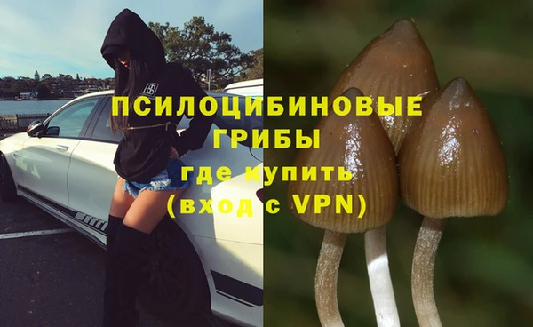 метадон Богородицк