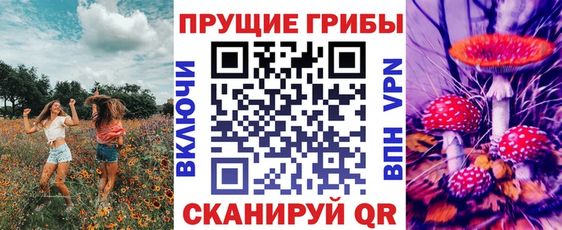 Галлюциногенные грибы прущие грибы Юрьевец